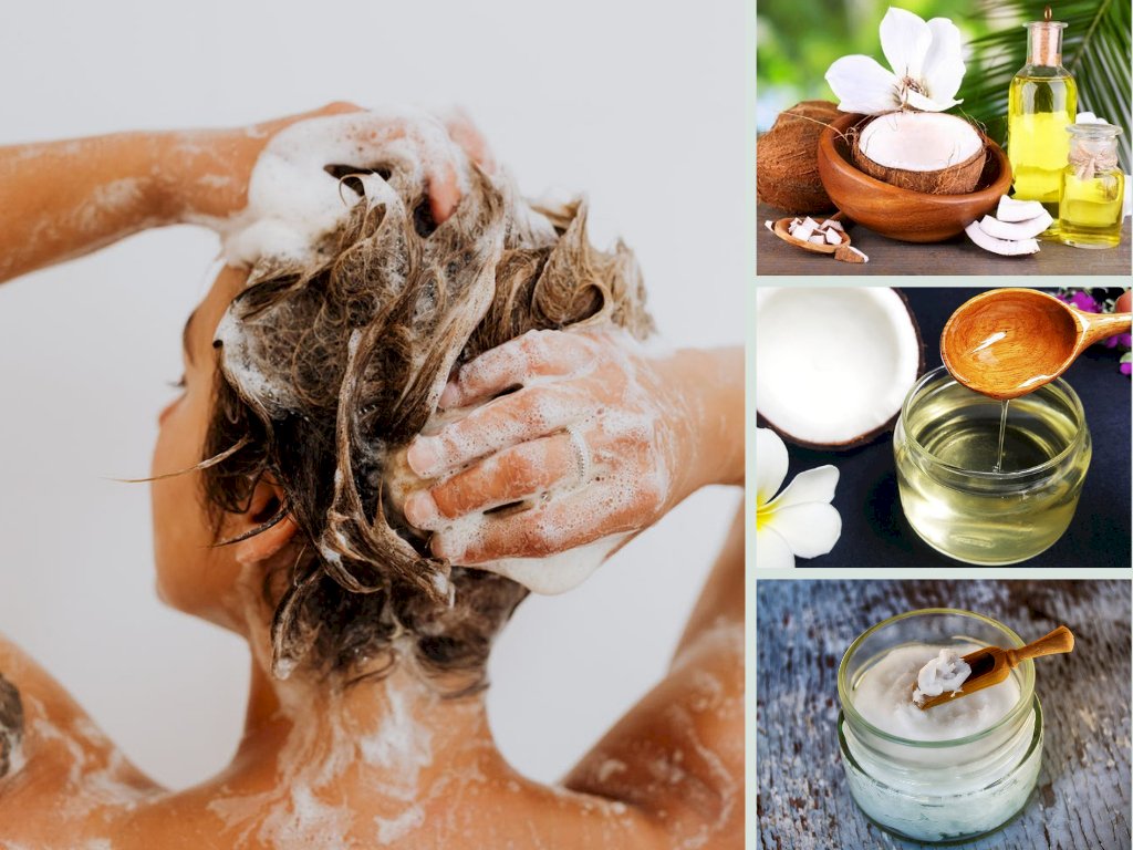 Kênh Công Sở tư vấn Cách gội đầu bằng dầu dừa không bị bết tóc