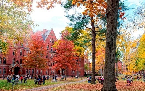 Những bí ẩn chưa được tiết lộ đằng sau cánh cổng Đại học Harvard
