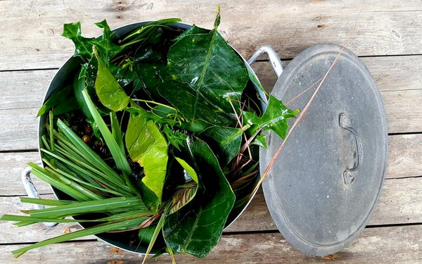 Dùng lá xông hơi, súc miệng nước muối có phòng được Covid-19? Bác sĩ người Việt tại Mỹ tiết lộ câu trả lời