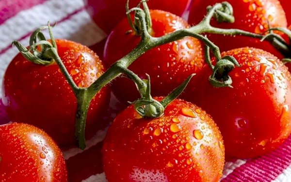 4 lợi ích khi ăn cà chua vào mùa hè, lợi ích số 4 khiến chị em càng 