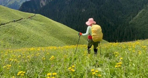 Làm 5 điều này để tìm thấy hạnh phúc, bỏ lại cuộc sống bộn bề phía sau