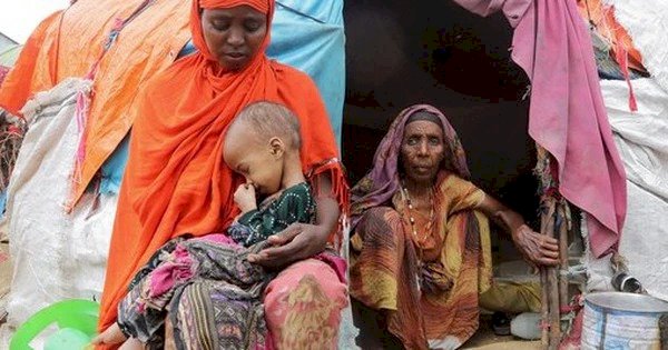 Cảnh báo đáng sợ về vi khuẩn