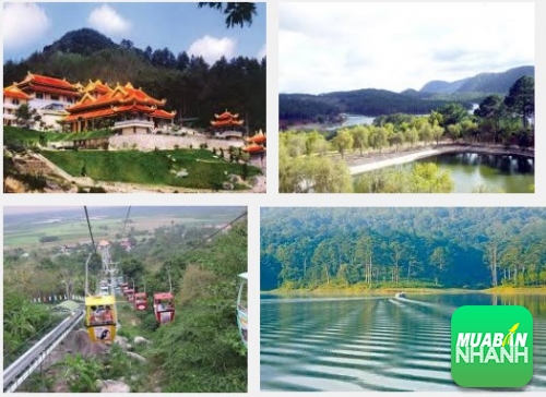 Những điểm du lịch nổi tiếng Đà Lạt thích hợp cho dân công sở tham quan