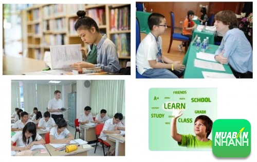 10 bí quyết để học giỏi tiếng Anh phổ thông cơ sở