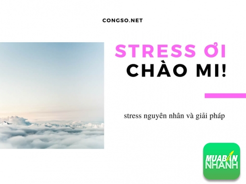 Stress ơi, chào mi!