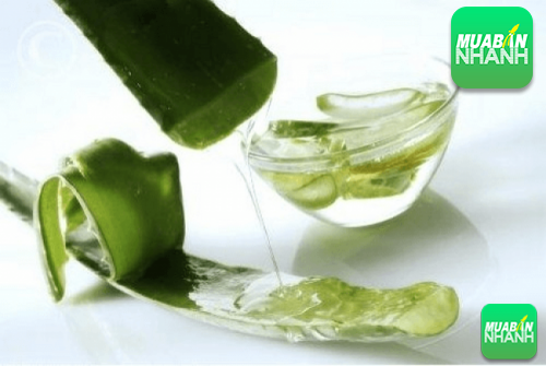 Cách làm trắng da toàn thân tự nhiên từ nha đam