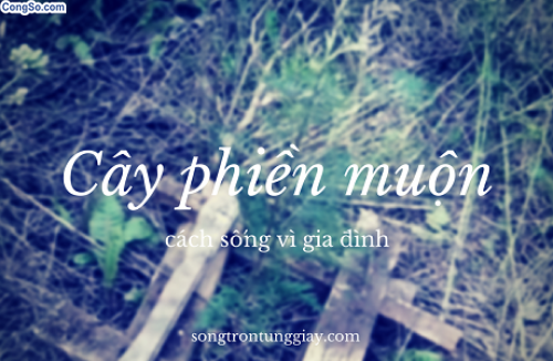 Cây phiền muộn