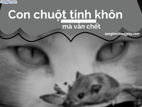 Con chuột tinh khôn mà vẫn chết