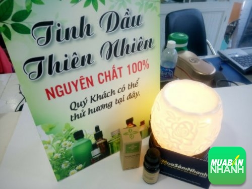 Công dụng của tinh dầu khuynh diệp