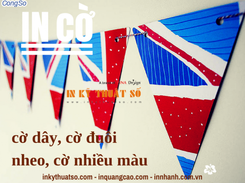 Cung cấp cờ dây, cờ đuôi nheo, cờ nhiều màu