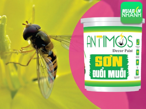 Diệt côn trùng trong phòng ngủ