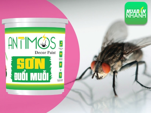 Đuổi ruồi hiệu quả