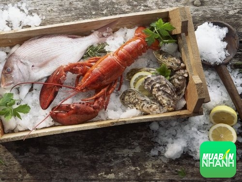 Hải sản tươi sống