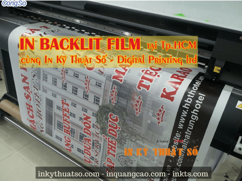 In backlit film Tp.HCM