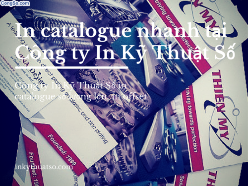 In catalogue nhanh tại công ty in kỹ thuật số