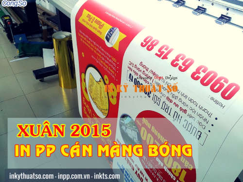 In PP cán màng bóng làm cờ dây quảng cáo mừng xuân 2015