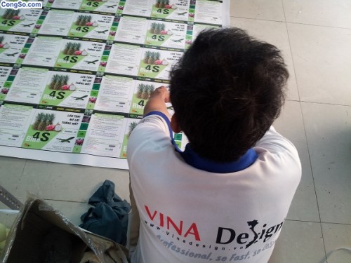 In PP có keo cán màng mờ số lượng lớn cho giới thiệu sản phẩm trái cây xuất khẩu