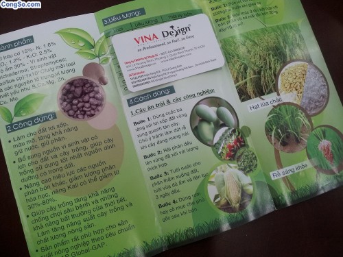 In tờ rơi giá rẻ chất lượng Tp.HCM