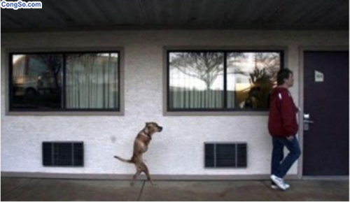 Không bao giờ từ bỏ