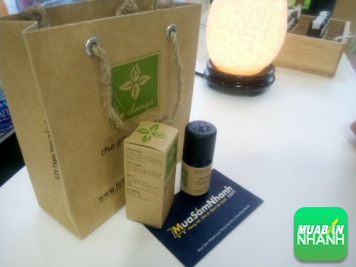 Làm đẹp cùng tinh dầu oải hương