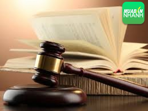 Liệt kê những hành vi gọi là vi phạm bản quyền tác giả