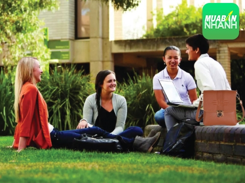 Mua túi xách nam ở đâu