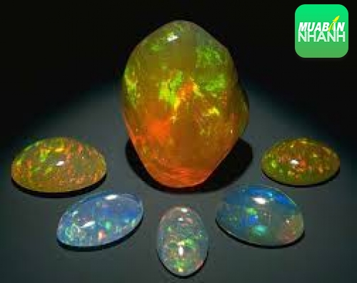 Nhện Phong Thủy, con vật linh giúp may mắn toàn vẹn về tài lộc, tình duyên