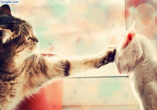 Những mối quan hệ không rõ ràng