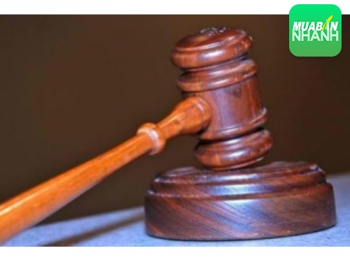 Những người nào có quyền khởi kiện dân sự về quyền tác giả và quyền liên quan?