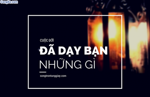 Ra trường, thất nghiệp, không xu dính túi... tất cả đã dạy cho tôi những gì?