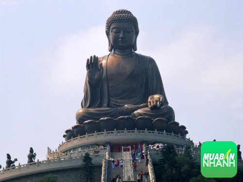 Sách Hành Trình Về Phương Đông Chương 7 - Vị đạo sĩ có thể chữa mọi thứ bệnh