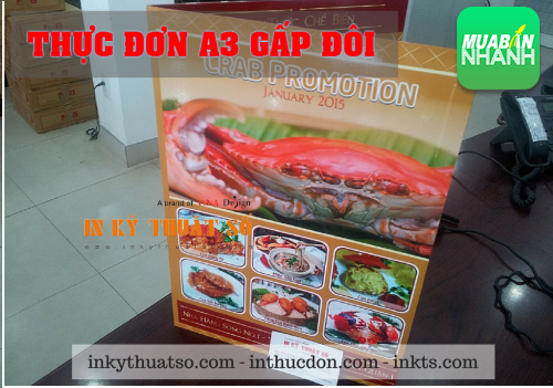 Thực đơn A3 gấp đôi