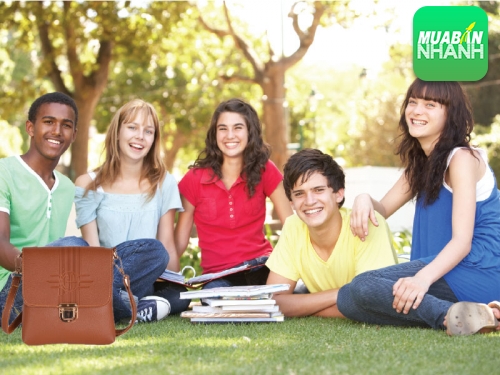 Túi xách đeo chéo