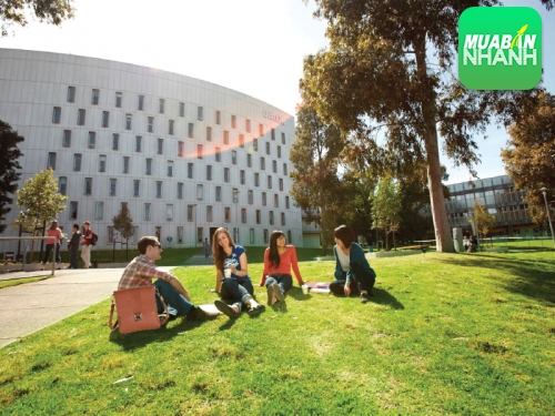 Túi xách nam đẹp