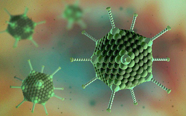 Bệnh viêm gan bí ẩn được nghi do adenovirus gây nên