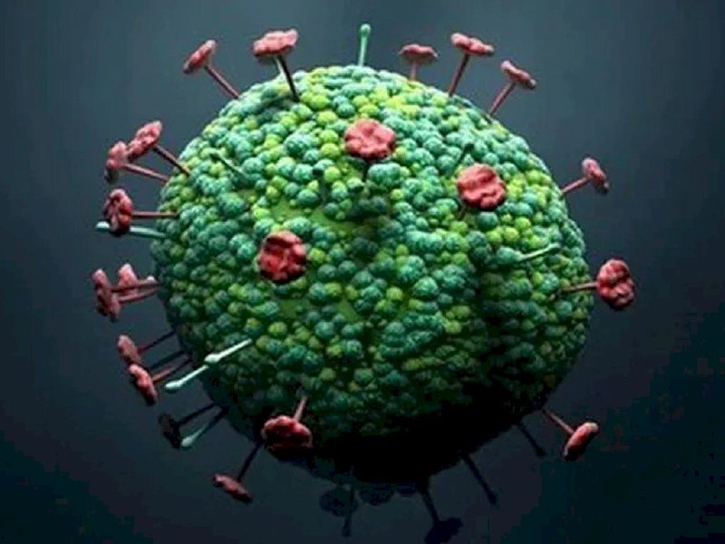 Loại virus Langya mới phát hiện ở Trung Quốc thuộc về một họ virus được biết là có thể giết chết 75% các trường hợp nhiễm bệnh