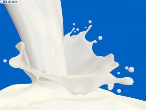 Sữa