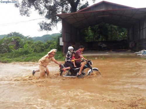 Bức ảnh chạm đến lòng người