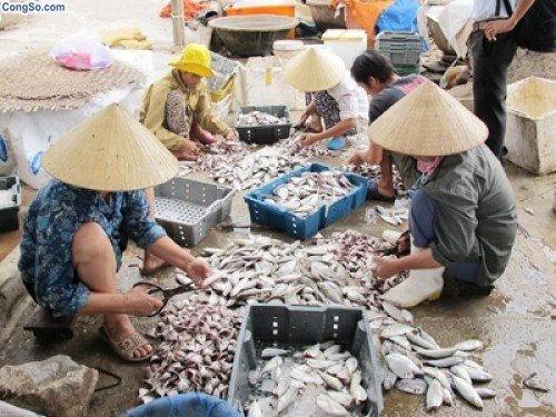 Chợ cá khô
