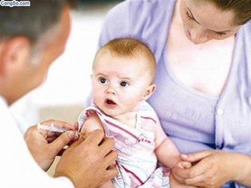 Khỏe mạnh cũng cần tiêm phòng