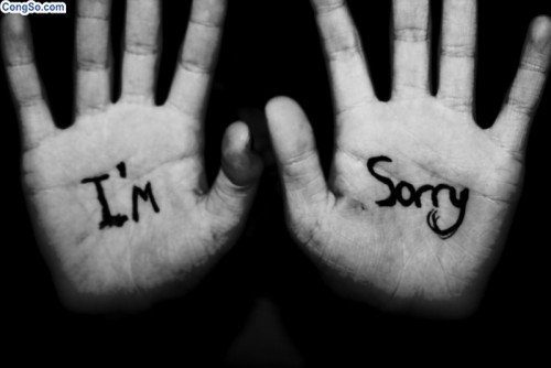 Cách xin lỗi