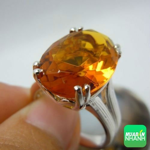 Hổ Phách (Amber) – loại đá quý hữu cơ giá trị, nguồn gốc và cách sử dụng