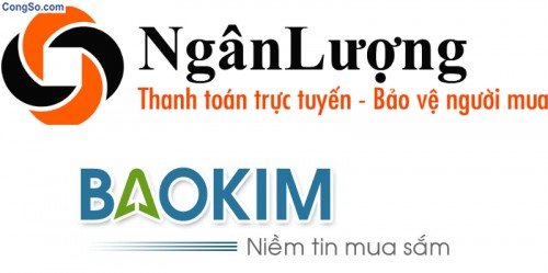 Thanh toán qua giám sát tài chính thứ 3