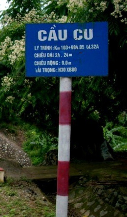 Cầu cu