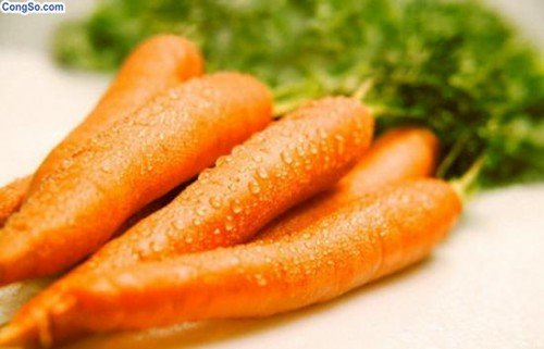 Cà rốt