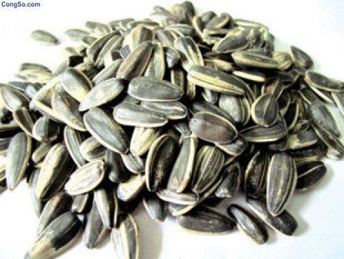 Trị tiêu chảy